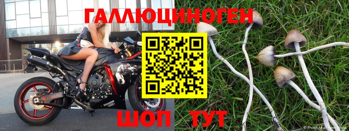 Галлюциногенные грибы Psilocybine cubensis  Вход с VPN  что такое наркотик  Аргун 