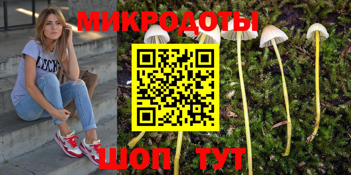 Галлюциногенные грибы ЛСД  Аргун 