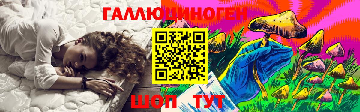 Псилоцибиновые грибы Cubensis Аргун