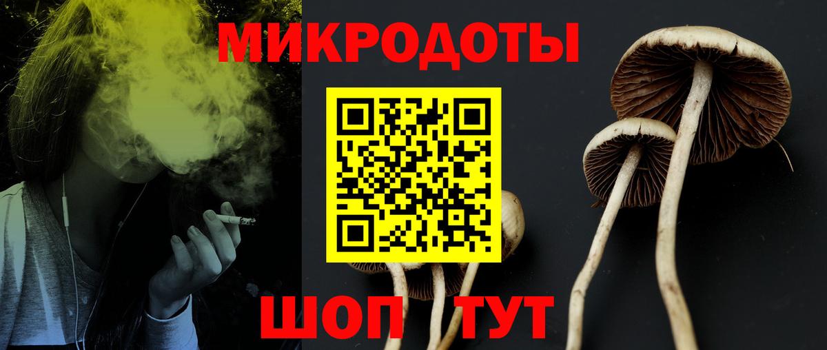 Псилоцибиновые грибы мухоморы Аргун