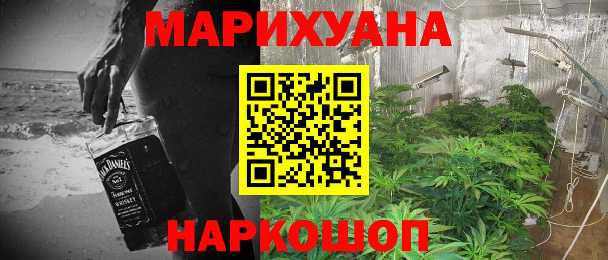 МАРИХУАНА сатива Аргун